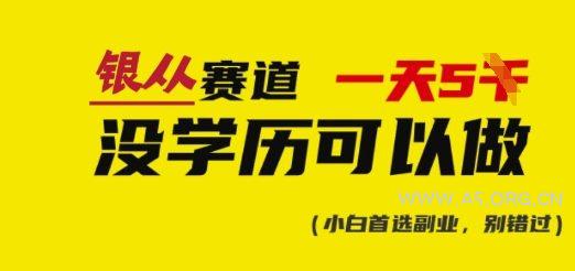 靠银从证书，日入多张，会截图就能做，直接抄答案(附：银从合集)-A5资源网