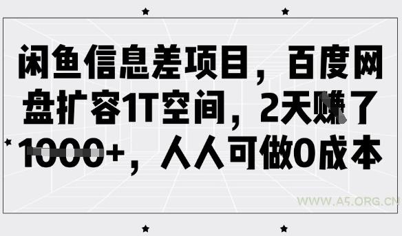 闲鱼信息差项目，百度网盘扩容1T空间，2天收益1k+，人人可做0成本-A5资源网