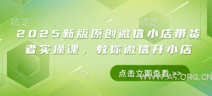 2025新版原创微信小店带货者实操课，教你微信开小店-A5资源网