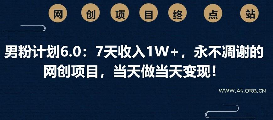 男粉计划6.0：7天收入1W+，永不凋谢的网创项目，当天做当天变现！-A5资源网