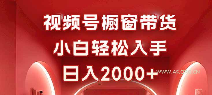 视频号橱窗带货，小白轻松入手，日入2000+-A5资源网