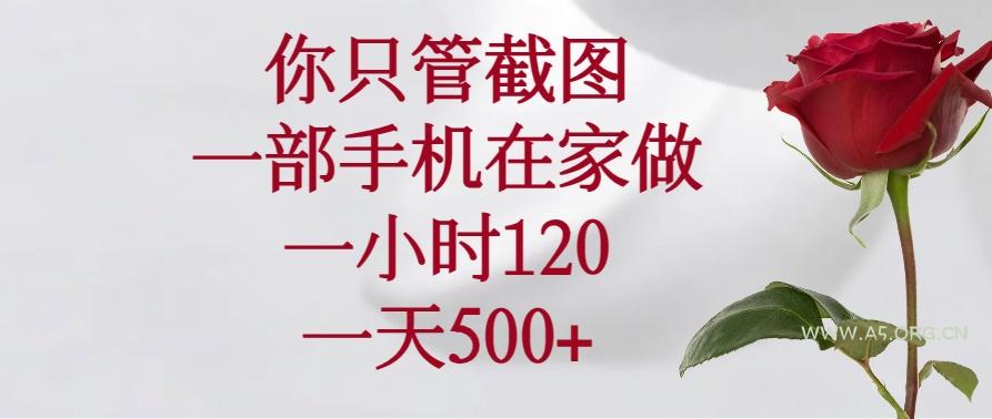 你只管截图，一部手机在家做，一小时120，一天500+-A5资源网