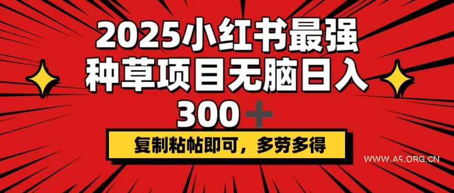 2025小红书最强种草项目，无脑日入300+，复制粘帖即可，多劳多得-A5资源网