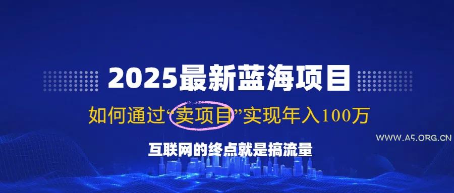 2025最新蓝海项目，零门槛轻松复制，月入10万+，新手也能操作！-A5资源网