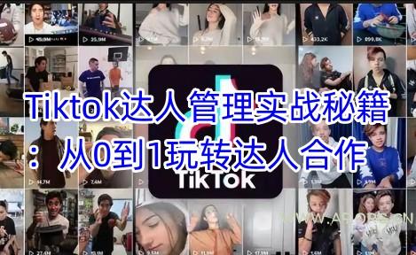 Tiktok达人管理实战秘籍：从0到1玩转达人合作-A5资源网