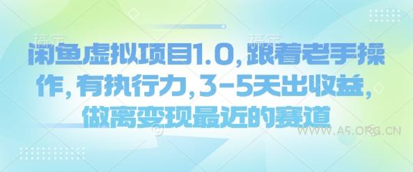 闲鱼虚拟项目1.0，跟着老手操作，有执行力，3-5天出收益，做离变现最近的赛道-A5资源网
