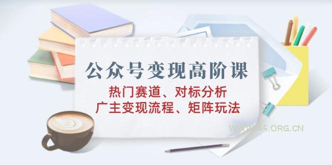 公众号变现高阶课：热门赛道、对标分析、广告主变现流程、矩阵玩法-A5资源网