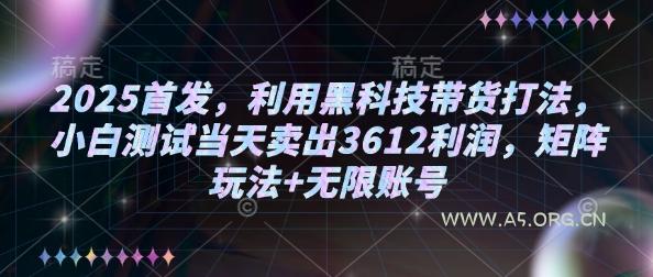 2025首发，利用黑科技带货打法，小白测试当天卖出3612利润，矩阵玩法+无限账号【揭秘】-A5资源网