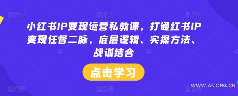 小红书IP变现运营私教课，打通红书IP变现任督二脉，底层逻辑、实操方法、战训结合-A5资源网