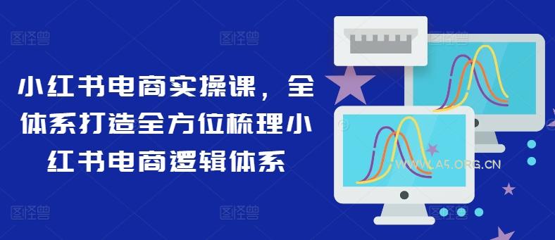 小红书电商实操课，全体系打造全方位梳理小红书电商逻辑体系-A5资源网
