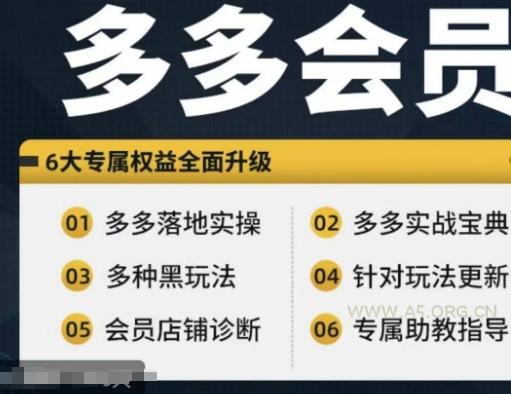 拼多多会员，拼多多实战宝典+实战落地实操，从新手到高阶内容全面覆盖-A5资源网