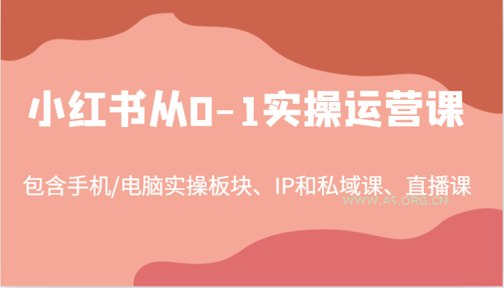 小红书从0-1实操运营课，包含手机/电脑实操板块、IP和私域课、直播课(97节)-A5资源网