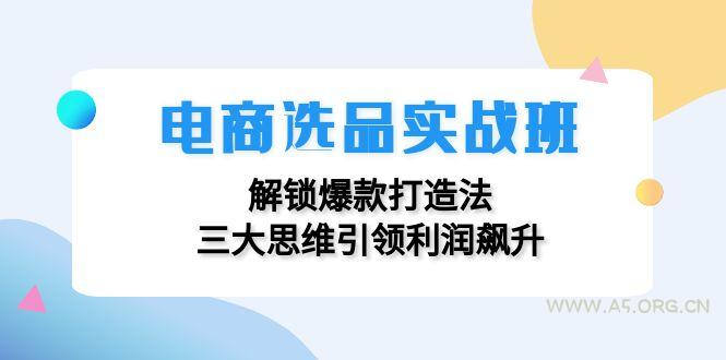 电商选品实战班：解锁爆款打造法，三大思维引领利润飙升-A5资源网