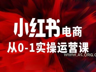 小红书电商从0-1实操运营课，让你从小白到精英-A5资源网