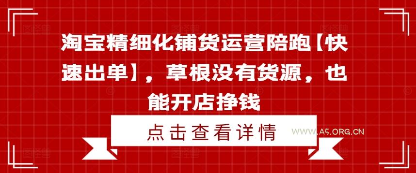淘宝精细化铺货运营陪跑【快速出单】，草根没有货源，也能开店挣钱-A5资源网