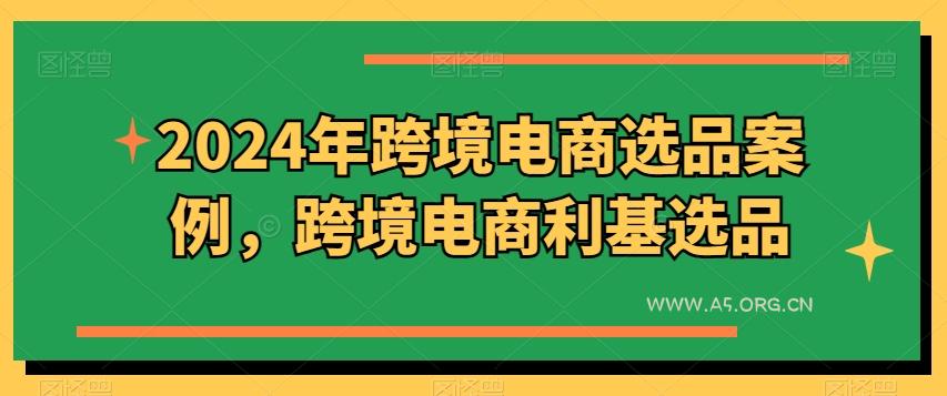 2024年跨境电商选品案例，跨境电商利基选品(更新)-A5资源网