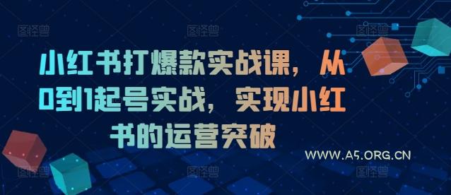 小红书打爆款实战课，从0到1起号实战，实现小红书的运营突破-A5资源网