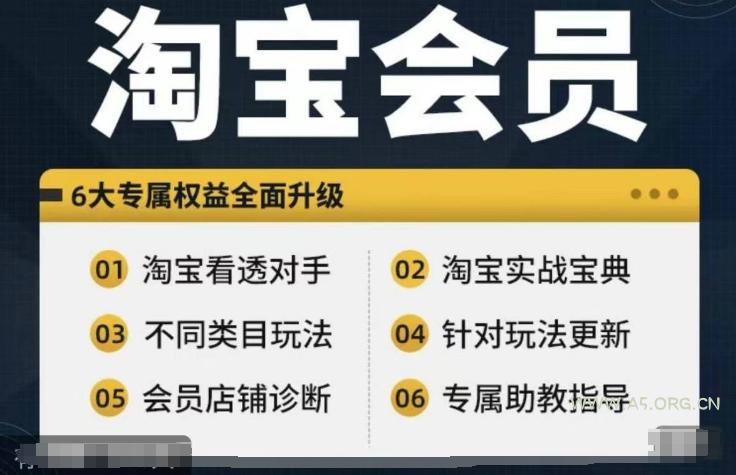 淘宝会员【淘宝所有课程，全面分析对手】，初级到高手全系实战宝典-A5资源网