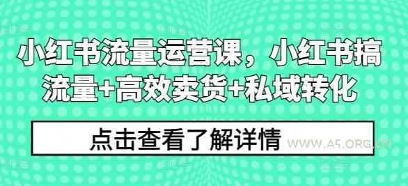 小红书流量运营课，小红书搞流量+高效卖货+私域转化-A5资源网