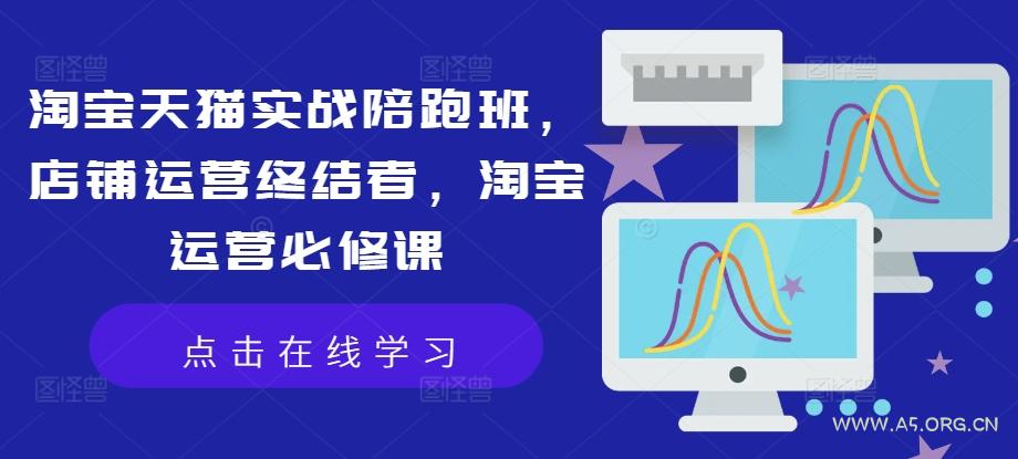 淘宝天猫实战陪跑班，店铺运营终结者，淘宝运营必修课-A5资源网