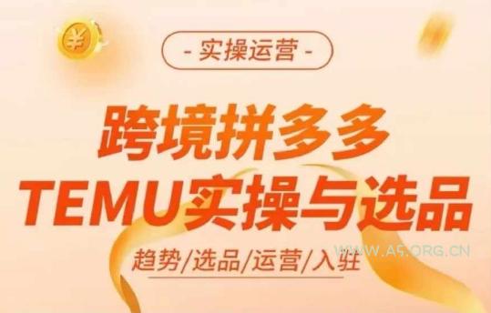 跨境拼多多TEMU实操与选品，多多temu跨境选品运营实操-A5资源网