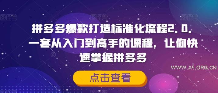 拼多多爆款打造标准化流程2.0，一套从入门到高手的课程，让你快速掌握拼多多-A5资源网