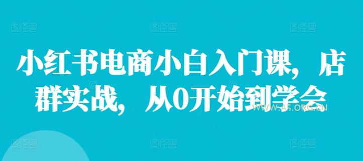 小红书电商小白入门课，店群实战，从0开始到学会-A5资源网