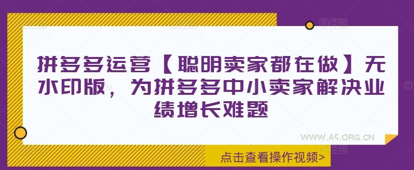 拼多多运营【聪明卖家都在做】无水印版，为拼多多中小卖家解决业绩增长难题-A5资源网