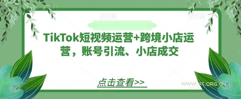 TikTok短视频运营+跨境小店运营，账号引流、小店成交-A5资源网