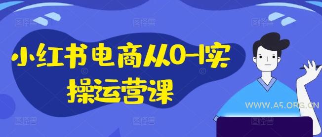 小红书电商从0-1实操运营课，小红书手机实操小红书/IP和私域课/小红书电商电脑实操板块等-A5资源网
