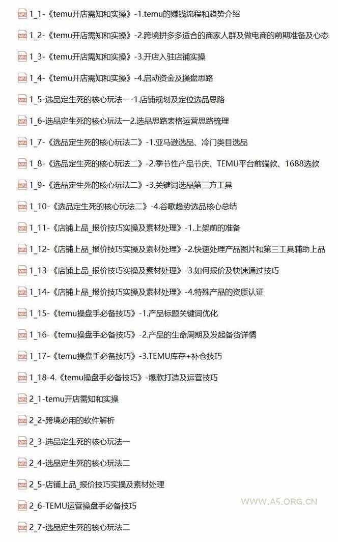 2024-TEMU拼多多·跨境开店、运营、选品(25节视频课 - A5资源网