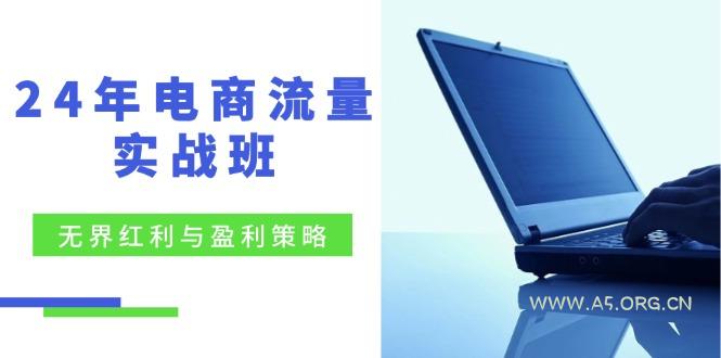 24年电商流量实战班：无界 红利与盈利策略，终极提升/关键词优化/精准...-A5资源网