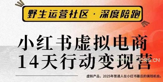 小红书虚拟电商14天变现训练营3.0，​虚拟产品，2025年普通人在小红书最后的搞钱机会-A5资源网