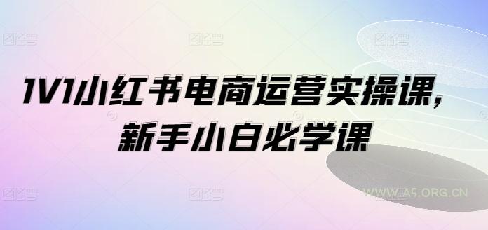 1V1小红书电商运营实操课，新手小白必学课-A5资源网