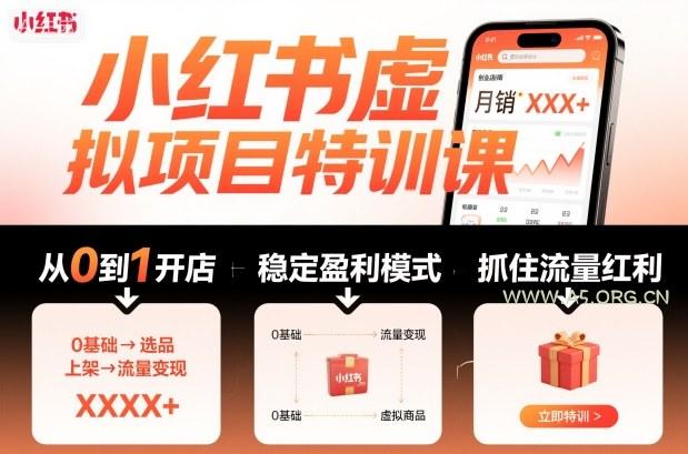 小红书虚拟项目特训课，帮你从0到1打造稳定盈利的店铺，抓住流量红利(更新9月)-A5资源网