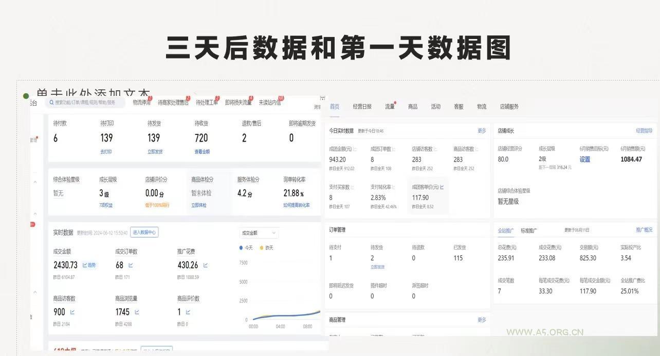 最新拼多多优质项目小白福利，两天销量过百单，不收费、老运营代操作 - A5资源网