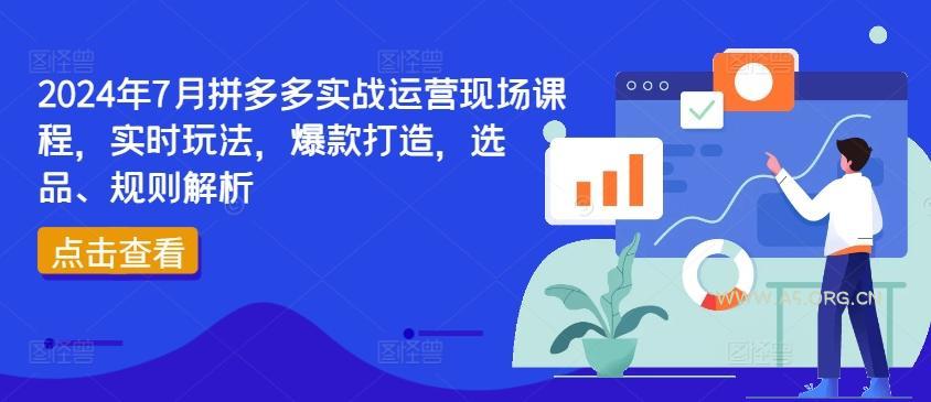2024年7月拼多多实战运营现场课程，实时玩法，爆款打造，选品、规则解析-A5资源网