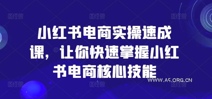 小红书电商实操速成课，让你快速掌握小红书电商核心技能-A5资源网