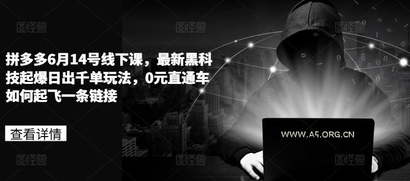 拼多多6月14号线下课，最新黑科技起爆日出千单玩法，0元直通车如何起飞一条链接-A5资源网