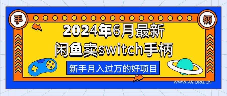 2024年6月最新闲鱼卖switch游戏手柄，新手月入过万的第一个好项目-A5资源网