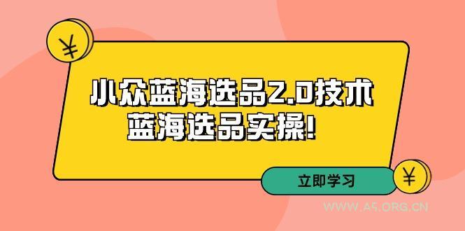 拼多多培训第33期：小众蓝海选品2.0技术-蓝海选品实操！-A5资源网