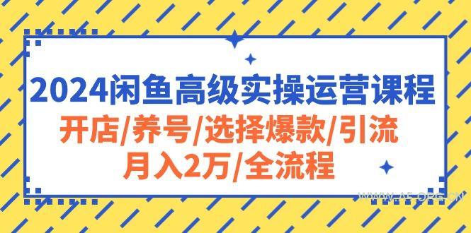 2024闲鱼高级实操运营课程：开店/养号/选择爆款/引流/月入2万/全流程-A5资源网
