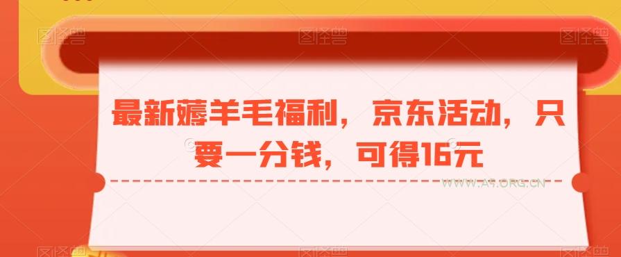 最新薅羊毛福利，京东活动，只要一分钱，可得16元-A5资源网