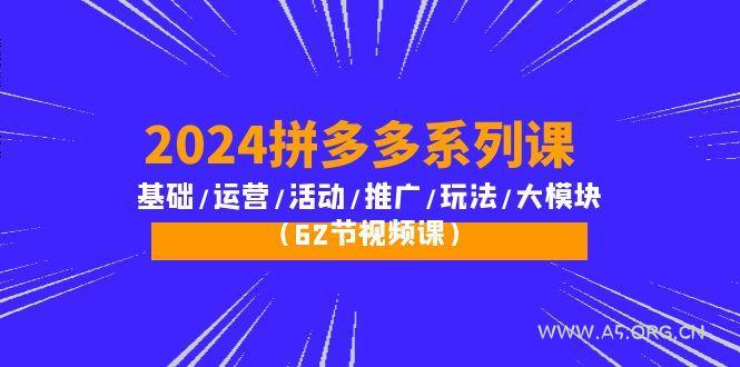 (10019期)2024拼多多系列课：基础/运营/活动/推广/玩法/大模块(62节视频课)-A5资源网