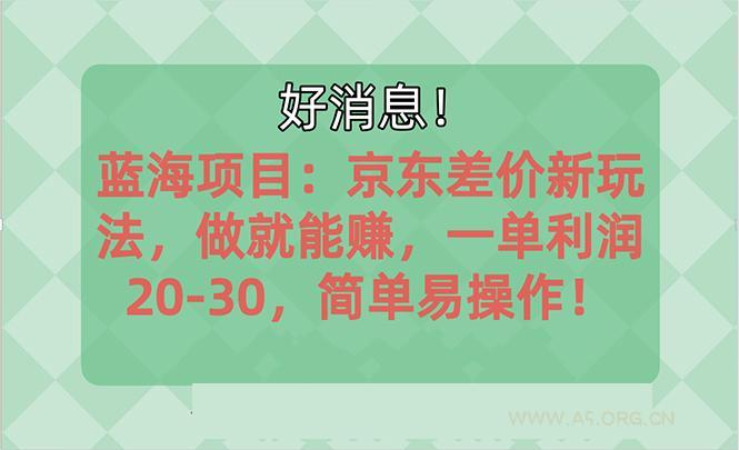 越早知道越能赚到钱的蓝海项目：京东大平台操作，一单利润20-30，简单…-A5资源网