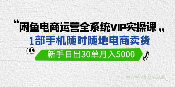 (9547期)闲鱼电商运营全系统VIP实战课，1部手机随时随地卖货，新手日出30单月入5000-A5资源网