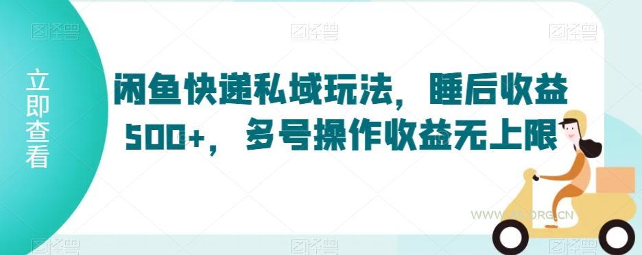 闲鱼快递私域玩法，睡后收益500+，多号操作收益无上限【揭秘】-A5资源网