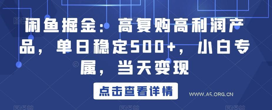 闲鱼掘金：高复购高利润产品，单日稳定500+，小白专属，当天变现-A5资源网
