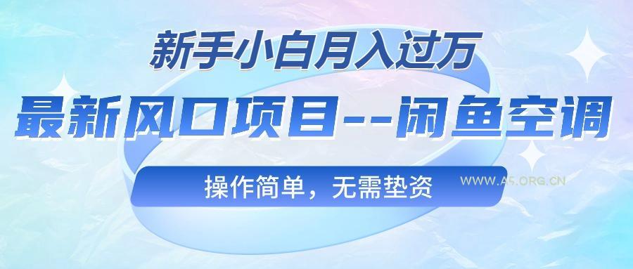 最新风口项目—闲鱼空调，新手小白月入过万，操作简单，无需垫资-A5资源网