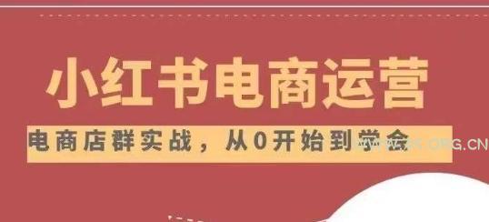 小红书店铺运营从小白到大神2.0，从入门到精通-A5资源网